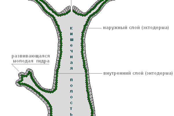 Магазин наркотиков