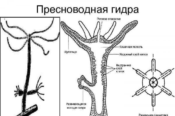 Официальная ссылка кракен