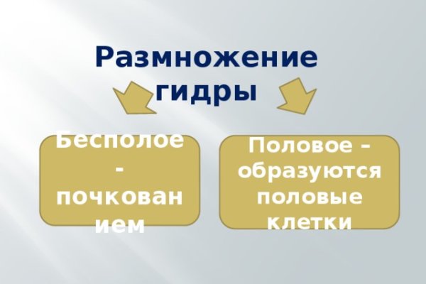 Кракен онлайн