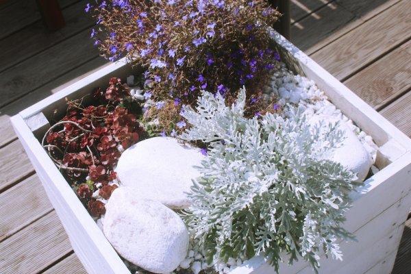 Кракен маркетплейс зеркало krk market com