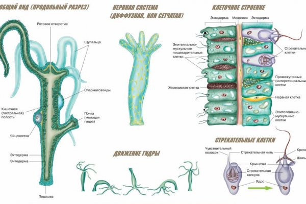 Kraken пользователь не найден при входе