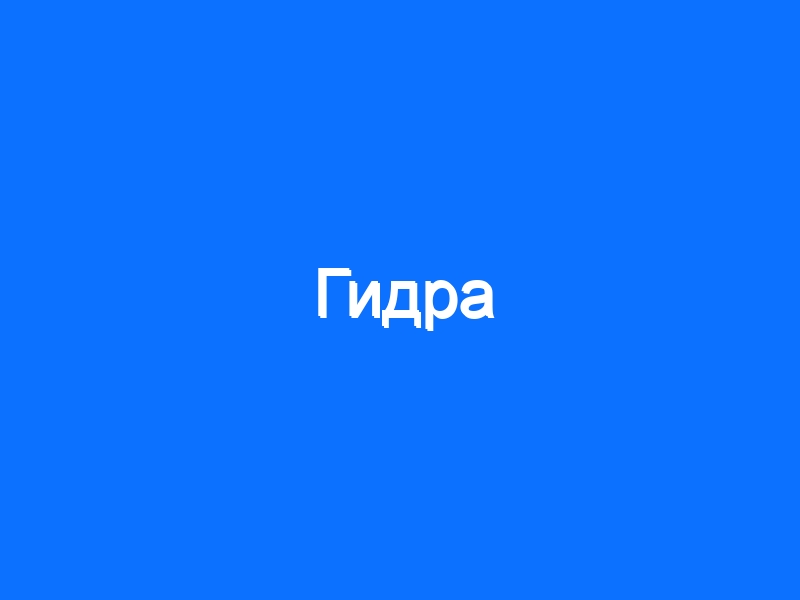 Ссылка на кракен тг